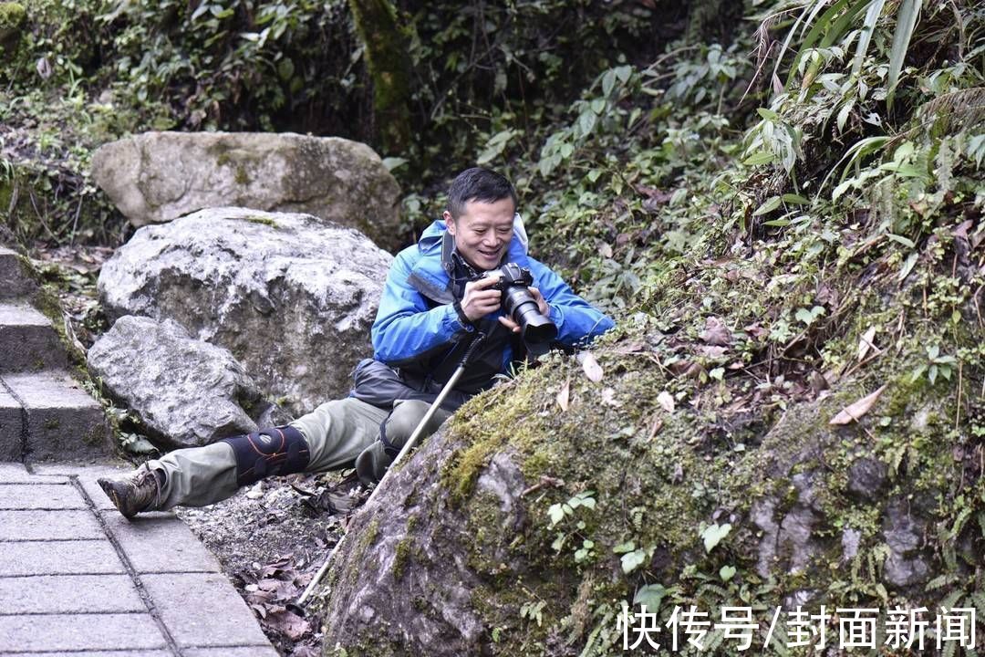 陆游！岁时草木记②｜陆游和范成大梅林隔空“偶遇”，见证者到底是梅花还是蜡梅？