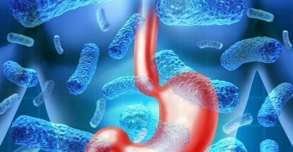 鞣酸蛋白|都说“一个柿子十副药”,到底有什么好处有2类人别吃