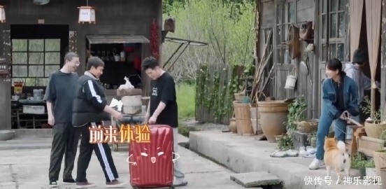 蘑菇|“向往3懒”的影响有多大?何炅看到新嘉宾主动干活,竟心生感动