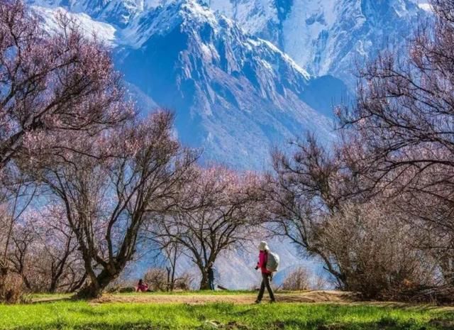信仰|西藏景色很美，有雄伟壮阔的山川，想让人征服的雪峰