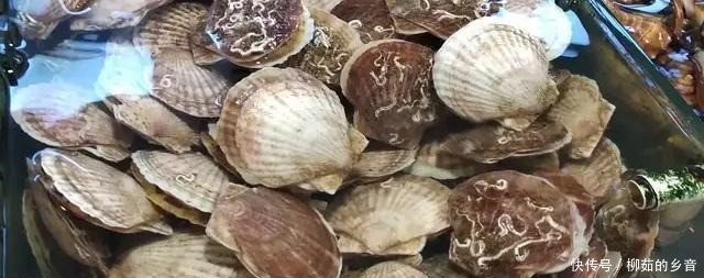 干贝怎么洗厨师教你技能,很简单