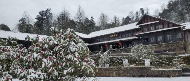 情怀|只下了一场雪，峨眉山又多了这些名场面