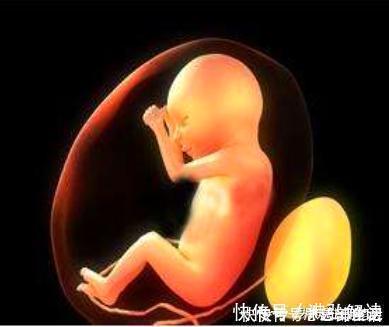 医生|现实版“哪吒”,产妇生下“带壳”宝宝想遗弃,医生:你太幸运了