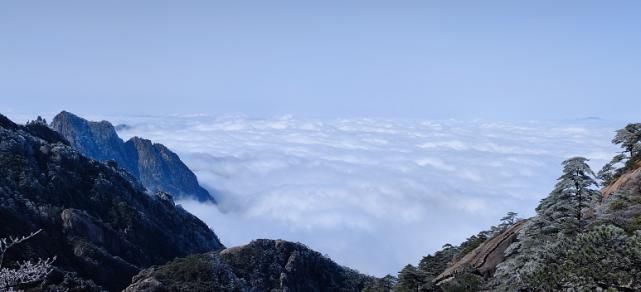 老年|黄山风景区又双叒叕降雪啦！绝美雾凇不容错过