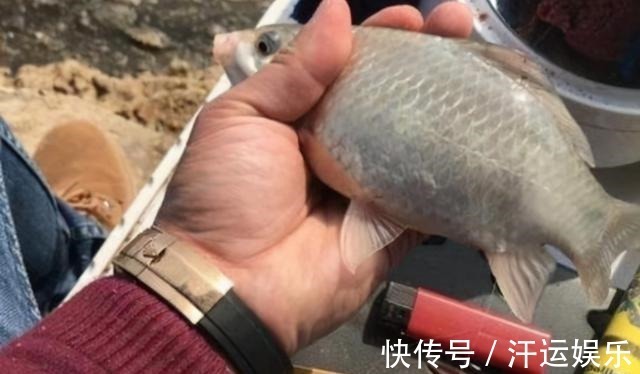 特效|千辛万苦找饵料,你却不知这特效饵,大鲫鱼一见就狂咬,特过瘾