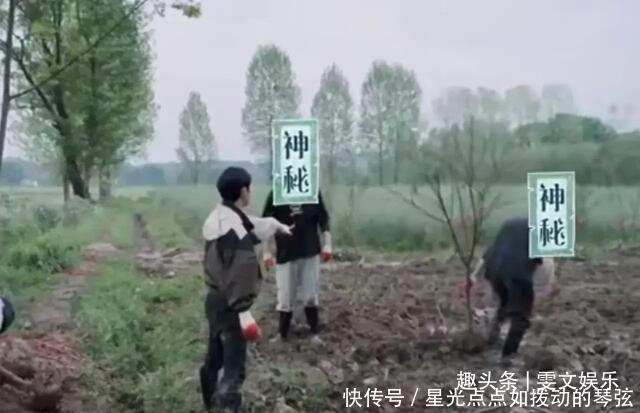 节目 下期《向往》要火,杨紫还没走,他俩又来了,还是《跑男》老成员