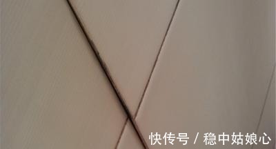 缝隙|美缝剂有毒危害大5个常见的美缝误区，想做美缝的千万别错过！