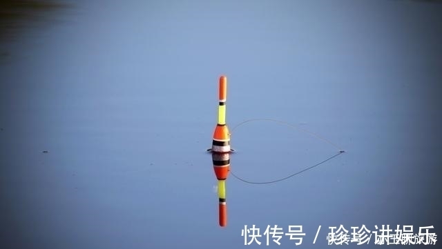 要点|钓鱼可能从来没有想过认真分析这两点,这才是夏季获鱼的要点所在