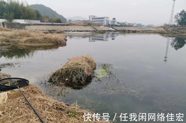 钓位|浅谈冬日野钓天气与钓位的关系，选对位置真能让鱼获翻倍！