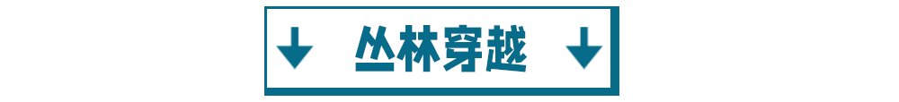 玩转|玻璃漂流、水枪大战、水上闯关..一票在手玩转龙湾潭森林浪浪节