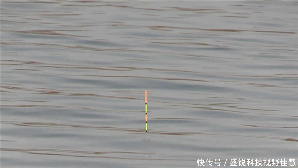 天气|夏季刮风天钓鱼,这样的浮漂更稳定,能够减少走漂,看漂也不辛苦