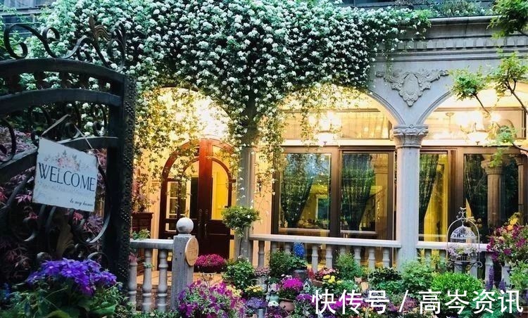 小区|坐拥270㎡大院子,她如何用五年时间,打造成了全小区最美的花园