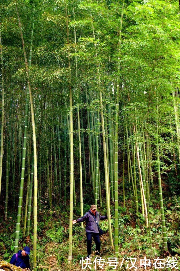 中年|野游牟家坝