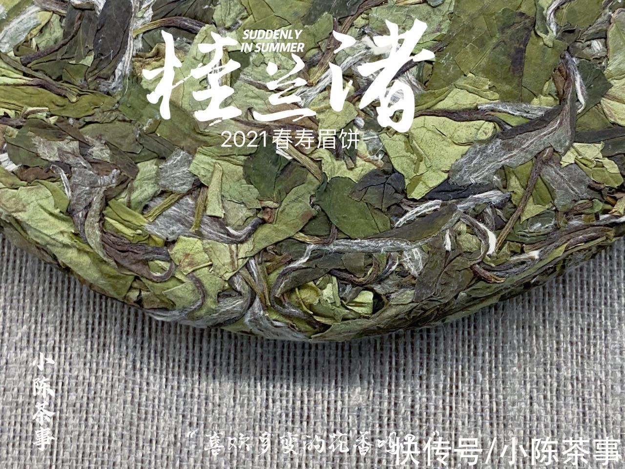 寿眉散茶#购买白茶选散茶，还是饼茶？从3个角度出发，看完再做决定也不迟