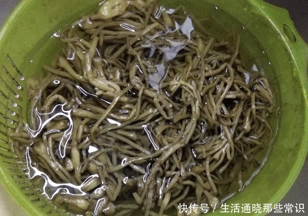 猪肉|秋季,吃猪肉不如吃它,等于天然泻药,刮油排毒,小腹不鼓了