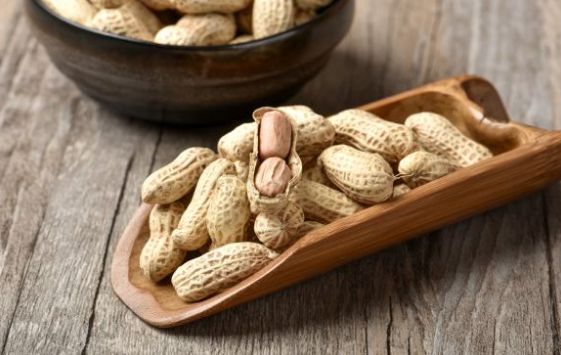 蛋白血症|常吃“花生”好处多,医生提醒:3种人别吃,没什么好处