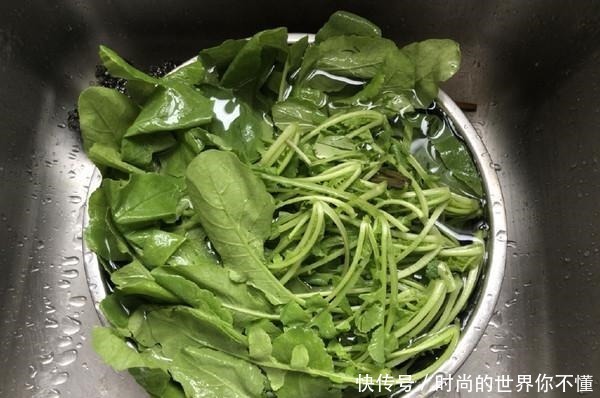 萝卜缨|“天然开塞露”被发现，通便滑肠，一次吃一盘，轻松排空黑宿便！