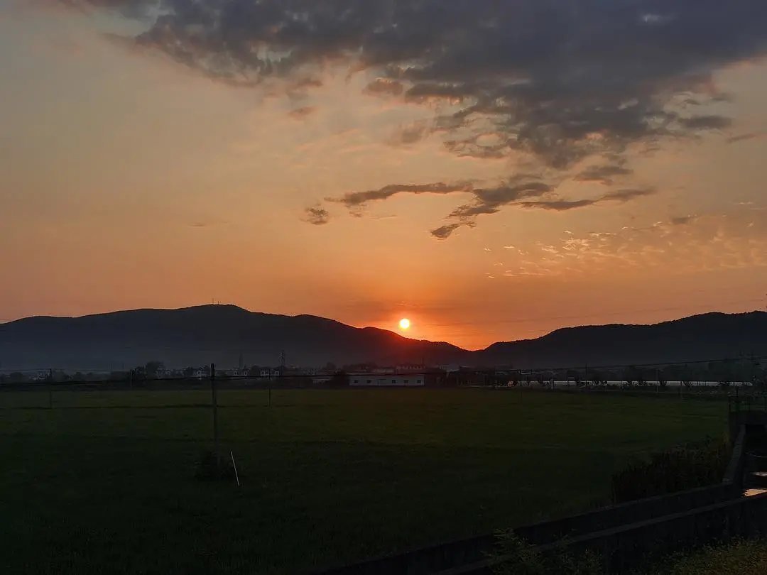 古诗|诗词丨给40首古诗加上配图,恍然大悟,惊为天人