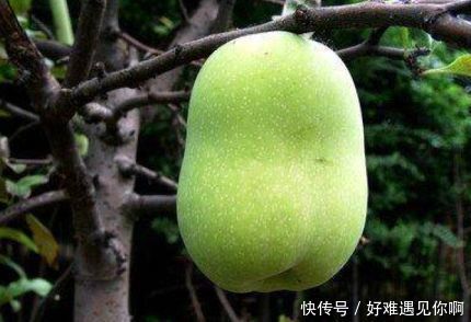 皺紋|女性不想顯老,不妨多吃3種食物,排毒養顏,淡化皺紋,早吃早好