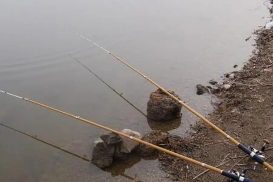 天气冷，大板鲫就不吃钩了，果断换用这钓法，接连上鱼忙不停