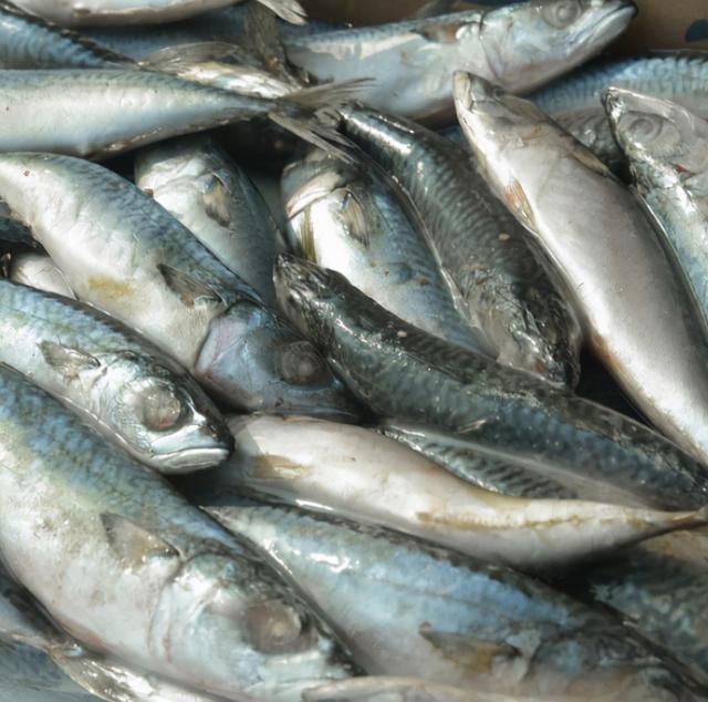 贝类|含“寄生虫”最多的3种海鲜，没营养还贵，商家从不吃，别上当