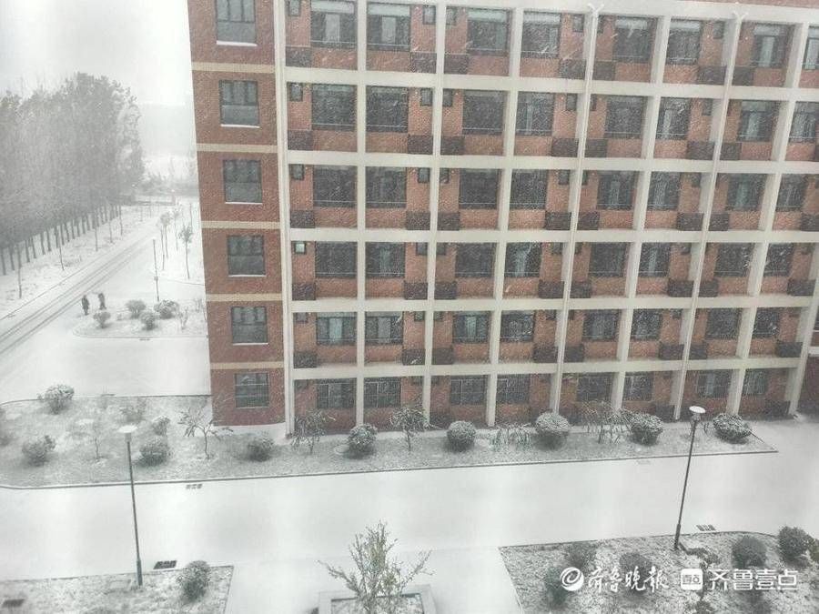 济南工程职业技术学院|暴风雪下的驻济大学生：校园里肆无忌惮滚雪球，那是我们的青春啊