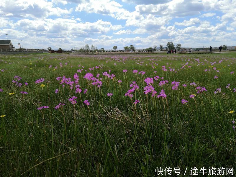 美丽的锡林郭勒大草原，最纯正的蒙元文化，最原始的游牧牧场