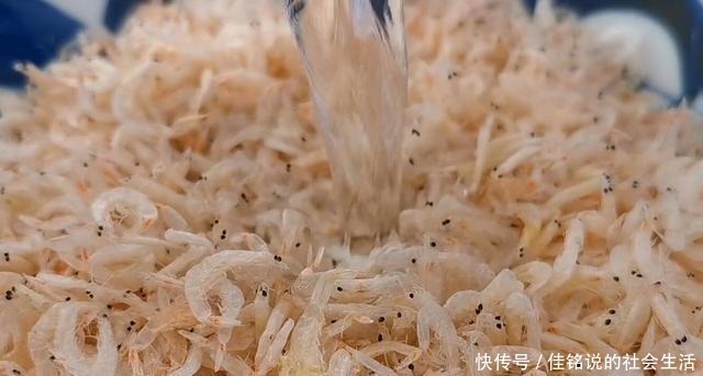 家庭必备调味粉做法,学会再也不用买鸡粉味精了,鲜香无添加!