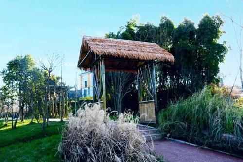 老年|自然丨仰天窝阳光健身步道升级！山顶湖泊等你来打卡~