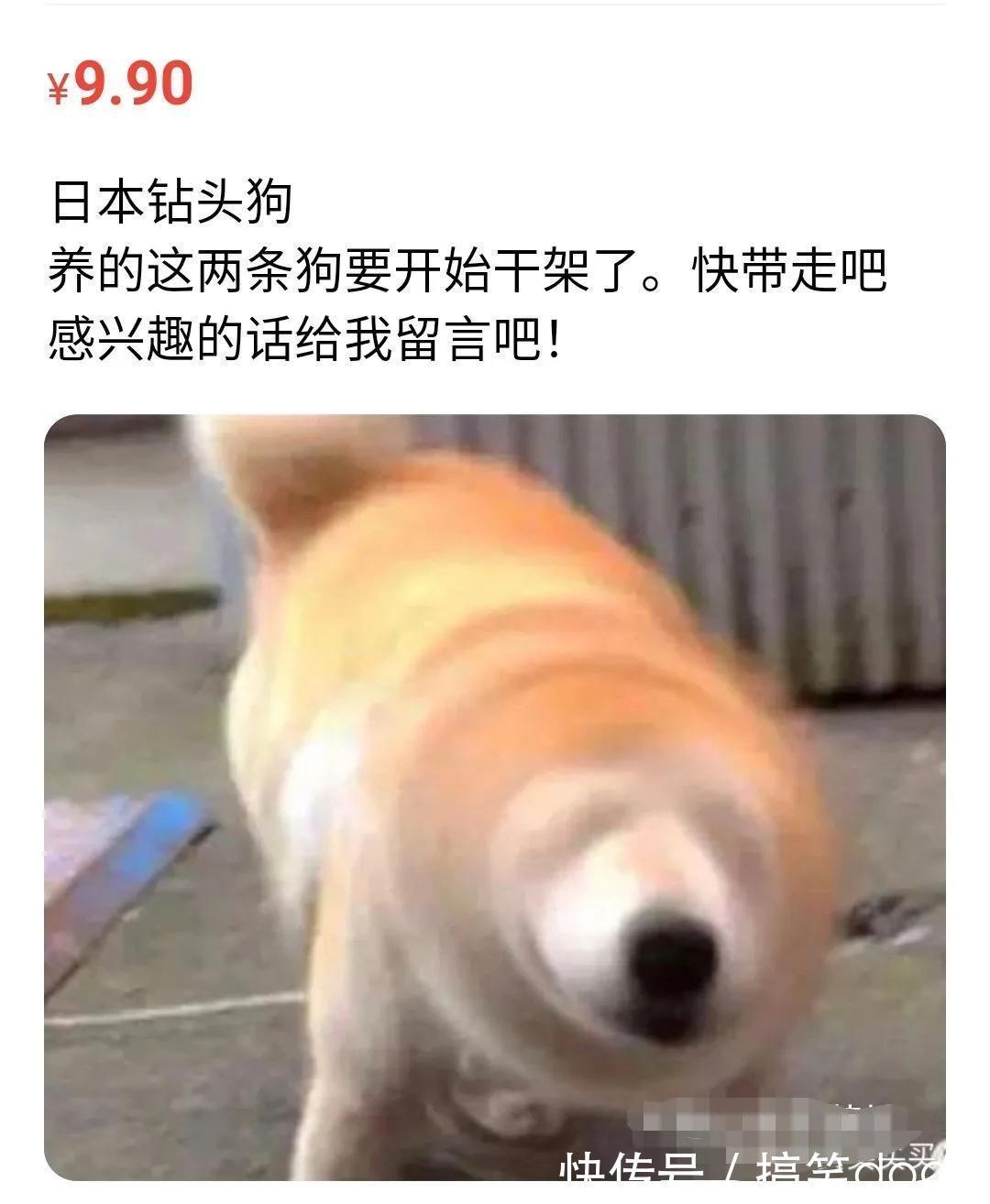 |搞笑合集:我一定是穷疯了,看啥都感觉像钱,还有救吗