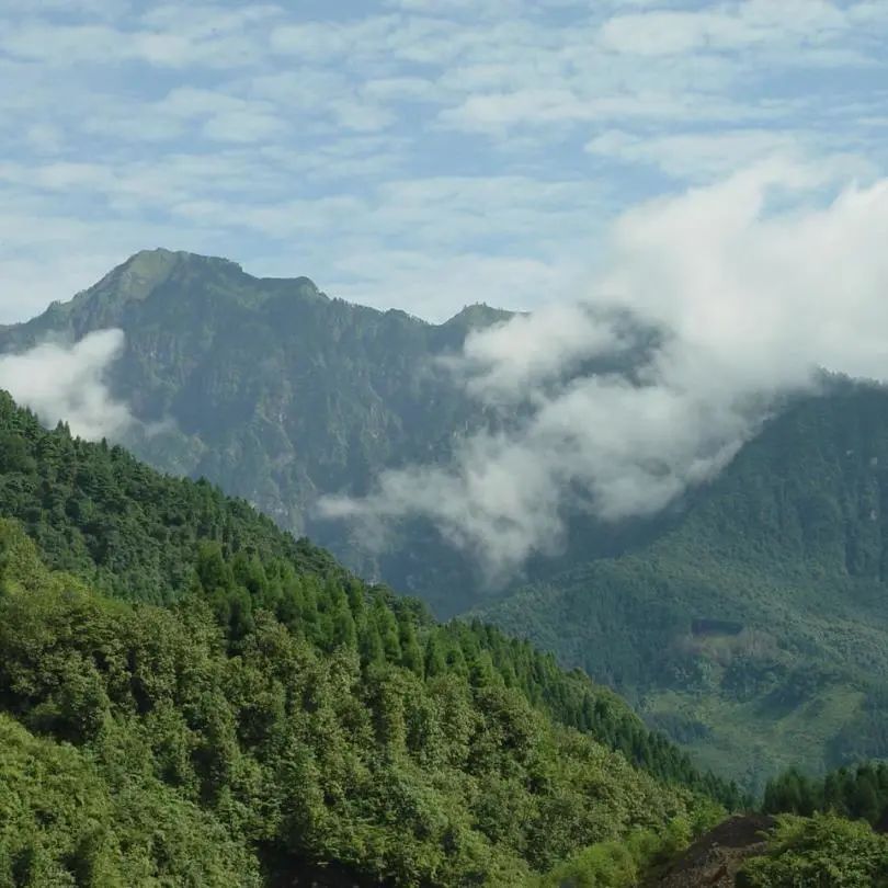 余杭|正是登高好时机！余杭这几座山峰，你最想“征服”谁？