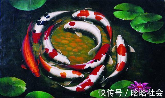 诗句!千古名句“水至清则无鱼”,其实后半句才是精华,却十人九不知