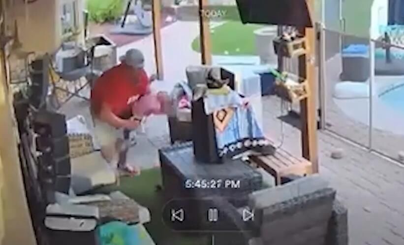 父亲|后怕！美国一父亲发现一岁半女儿在玩虫子 仔细看是有毒狼蛛