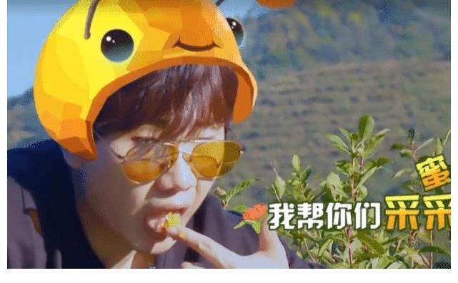 陳赫|《五哈2》驚喜不斷，三兄弟齊回歸，宋亞軒加盟，還有跑男老成員