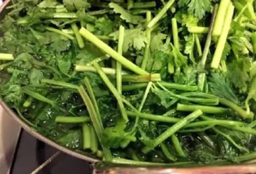 储存香菜，别再放冰箱了！20年大厨教你，放再久都不坏，翠绿新鲜！