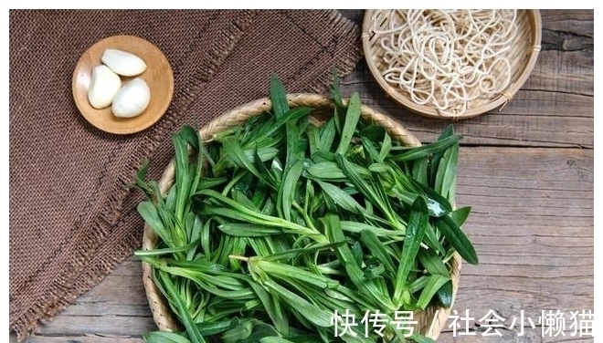 马齿苋|春天,遇到4种野菜别放过,加把面粉蒸一蒸,太好吃了