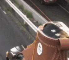 |搞笑GIF:当时妹子就急哭了 再也不穿裙子玩单杠了