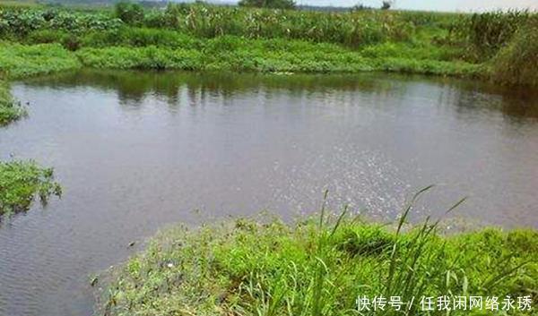 下钩|冬季钓鲫鱼,避开这四种钓位,这里下钩10有9空!