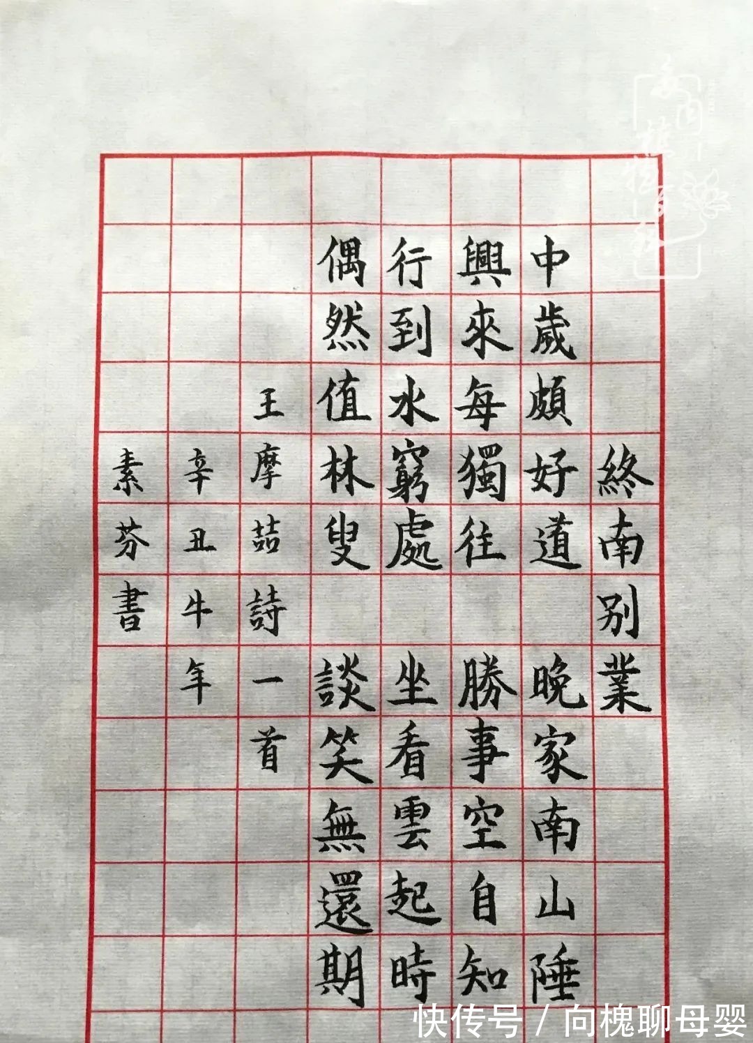 一种爱好就是一种境界，养花养多肉可以培养一个人的心境！