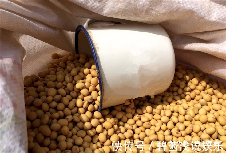 豆子@犹太人的富人思维:“卖豆子”思维,读懂它,教你变得不平凡