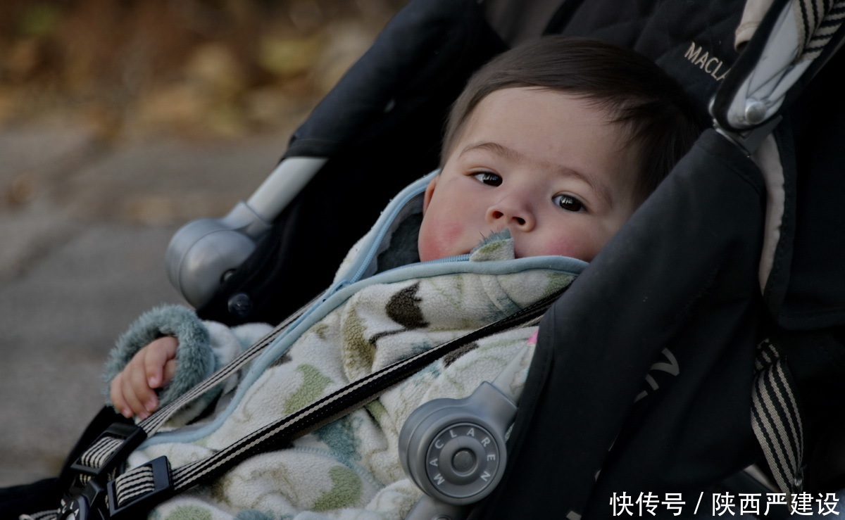 老年|新虹口花园的玉兰花开了【严建设】