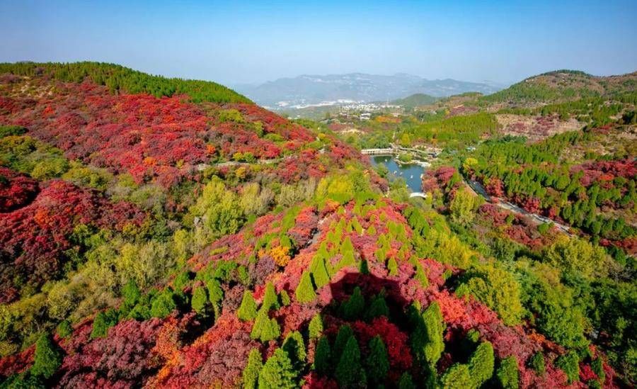 济南的冬天|山东必去的网红城市，去过的人一定见多识广，你去过哪个