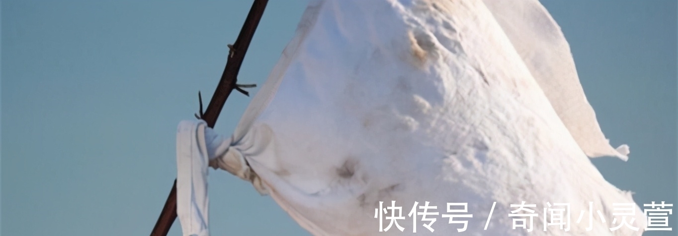 15条趣味冷知识,真实存在于世界,学校里可能学不到的奇怪知识