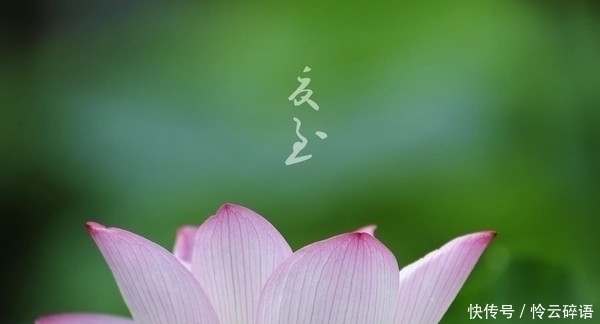 六首夏至诗词,阳气盛极而衰,一起看看古代人怎么过夏至