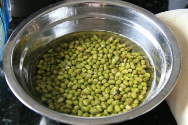 在家发绿豆芽,简单易做,0添加剂,比买的好吃,脆爽可口有营养