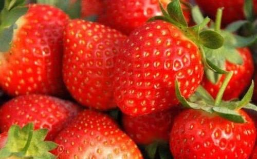 含有|想身体年轻,坚持多吃的食物,促进排便,让面色红润,不显老