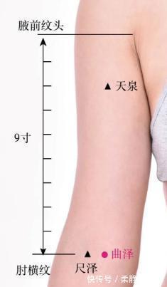 合穴|12合穴,为六腑打好基础,脏腑健康人才健康