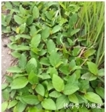 说出一种零食,证明你老了?