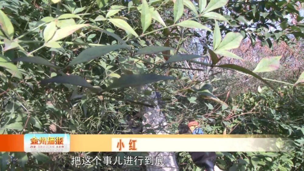 权力管|安康一女子美容院护肤致面部发炎脱皮!