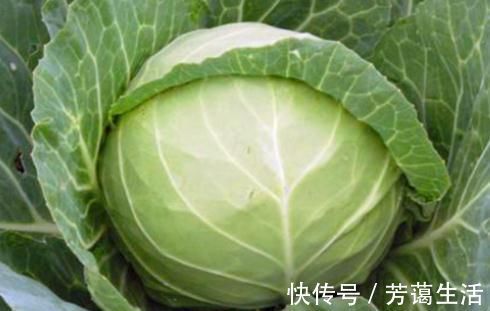 垃圾|肠道垃圾多,建议多吃4种食物,排出毒素,消化脂肪,增强体质